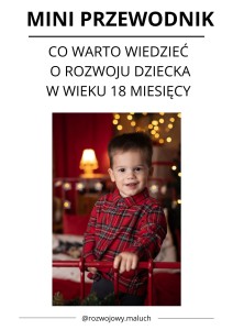 Mini Przewodnik