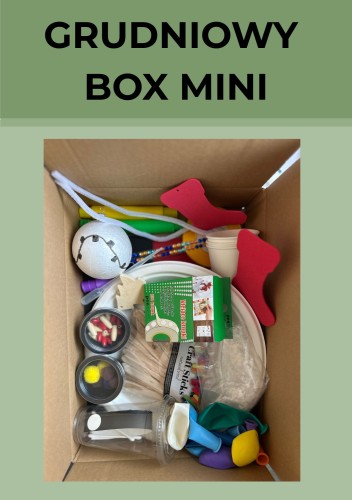 MINATURKA BOX MINI.jpg